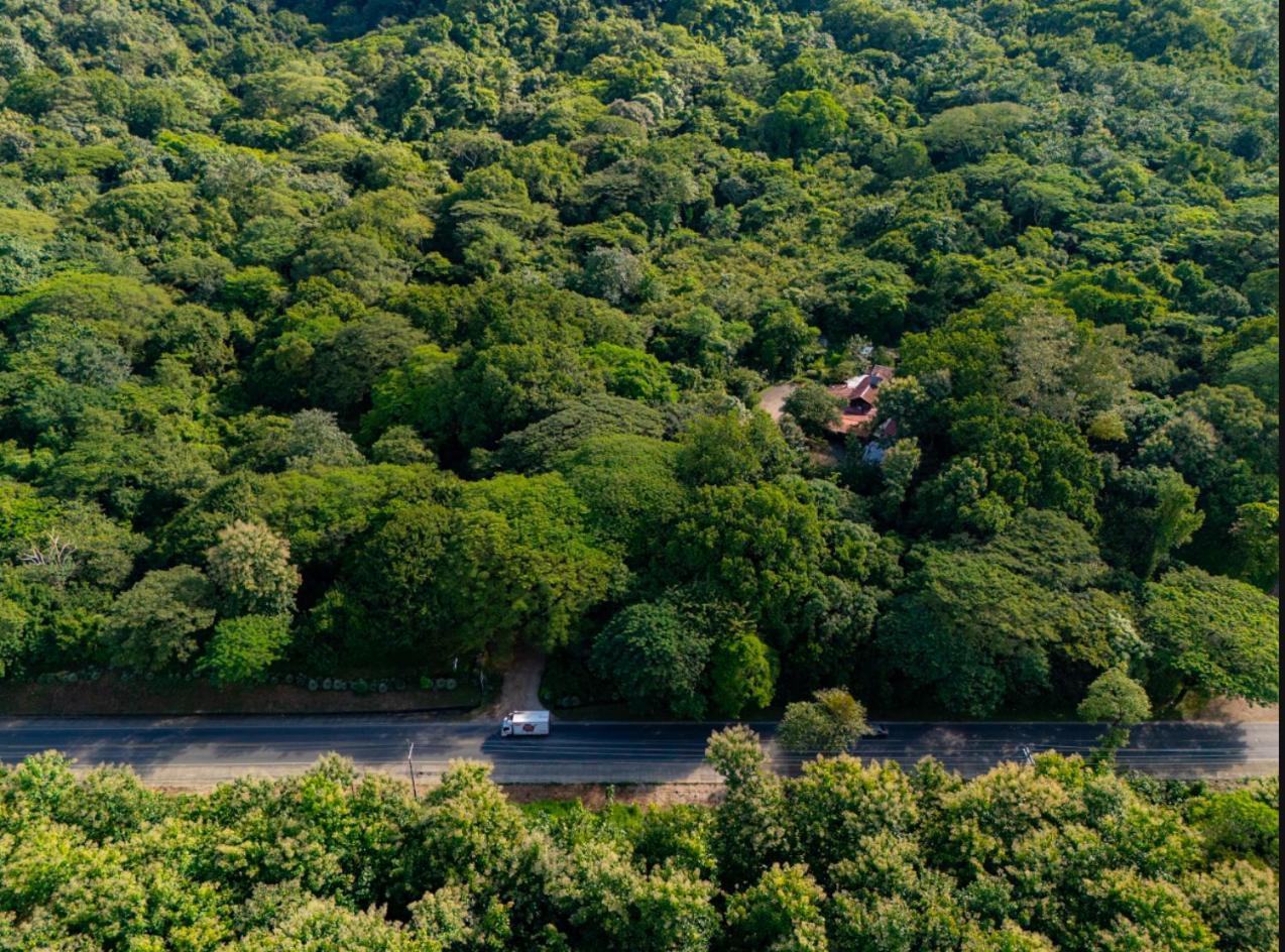 Cabinas La Fulanita Nicoya Exteriér fotografie
