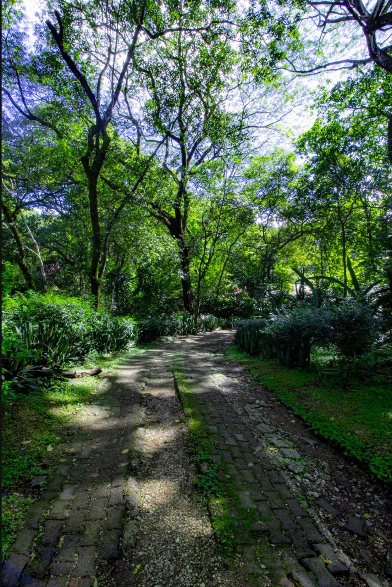Cabinas La Fulanita Nicoya Exteriér fotografie