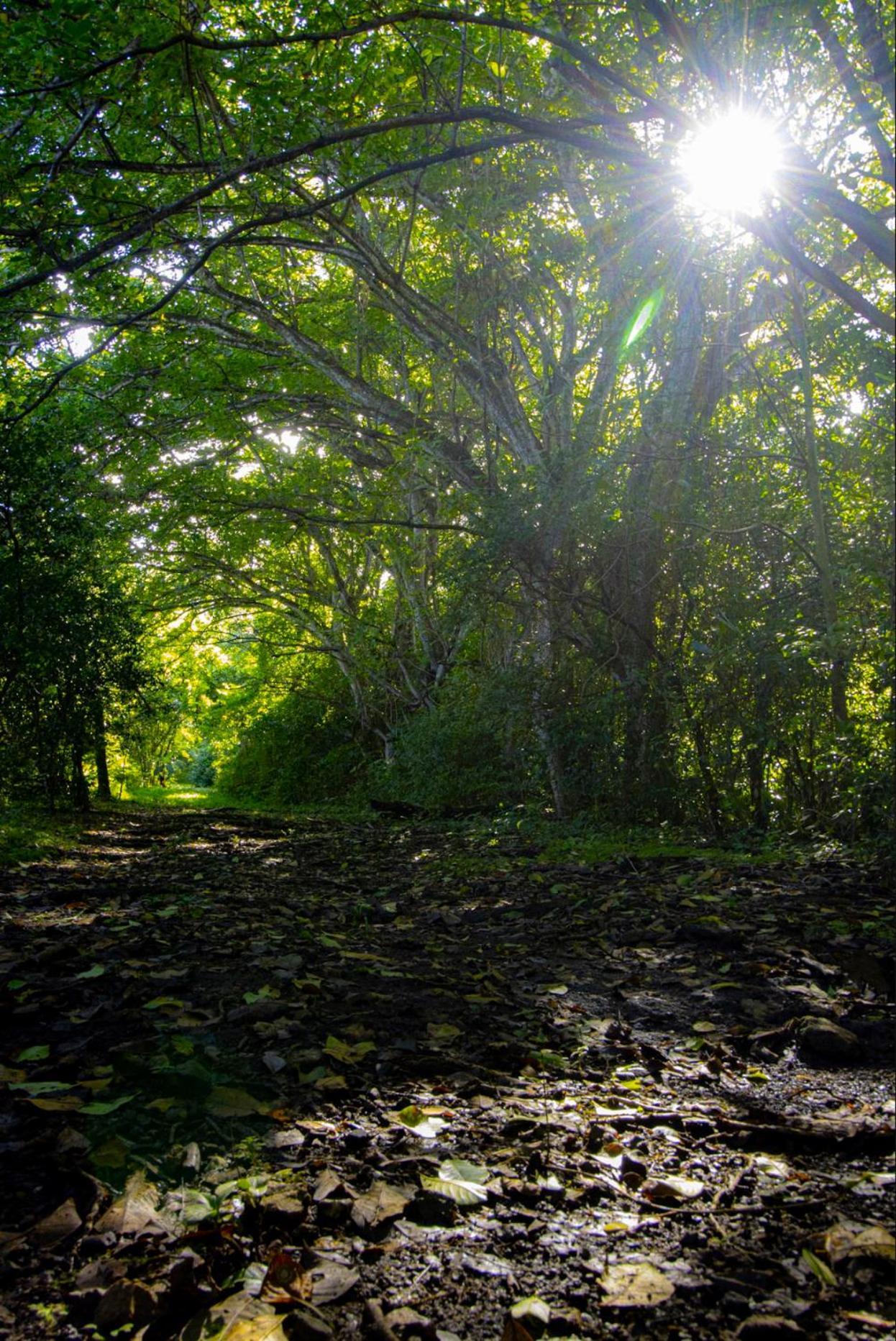 Cabinas La Fulanita Nicoya Exteriér fotografie