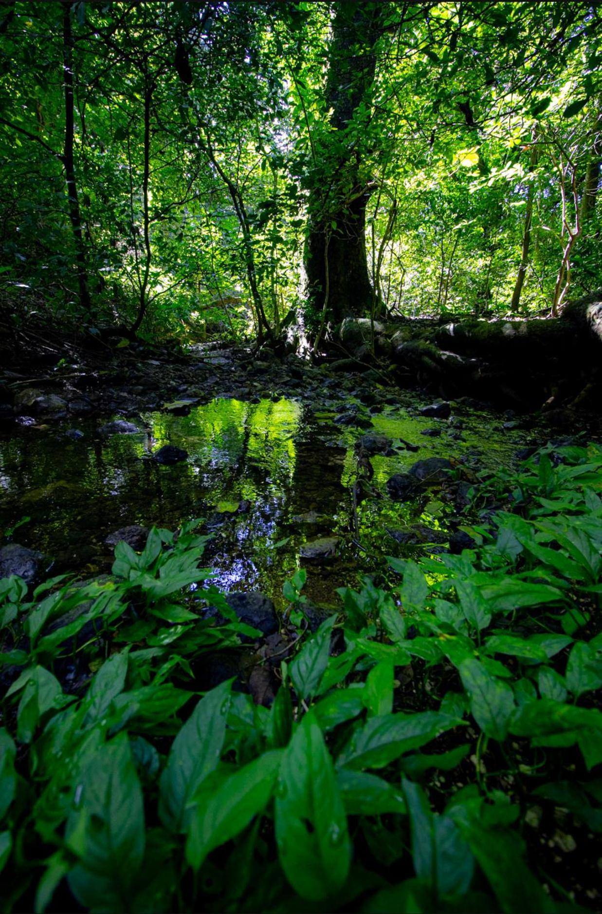 Cabinas La Fulanita Nicoya Exteriér fotografie